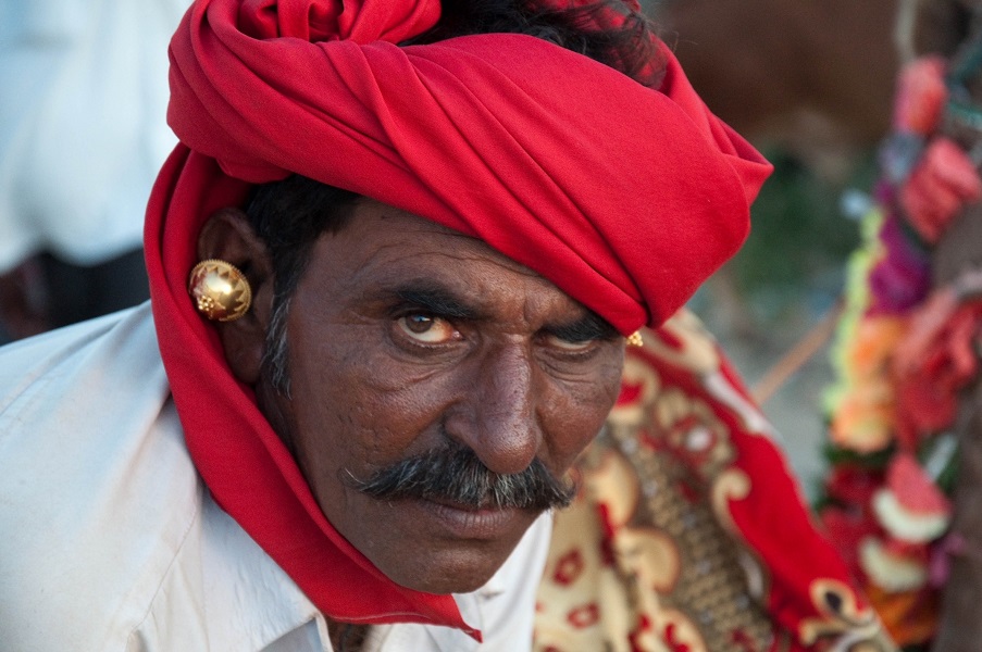 Go India Experience